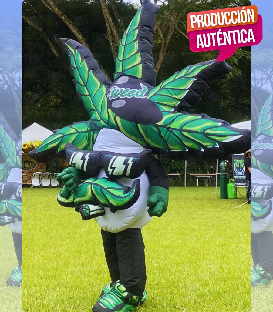 Abrir contenido